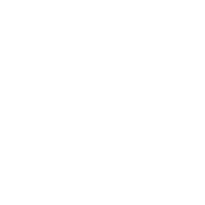 Lederblazer